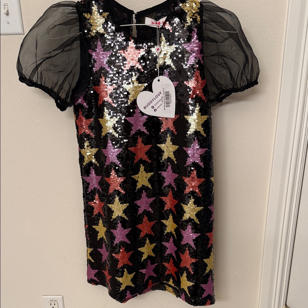 Buddy Love Multicolor Sequin Dress